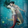 Aquatic Courtship