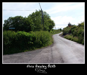 Elvis Presley BLVD