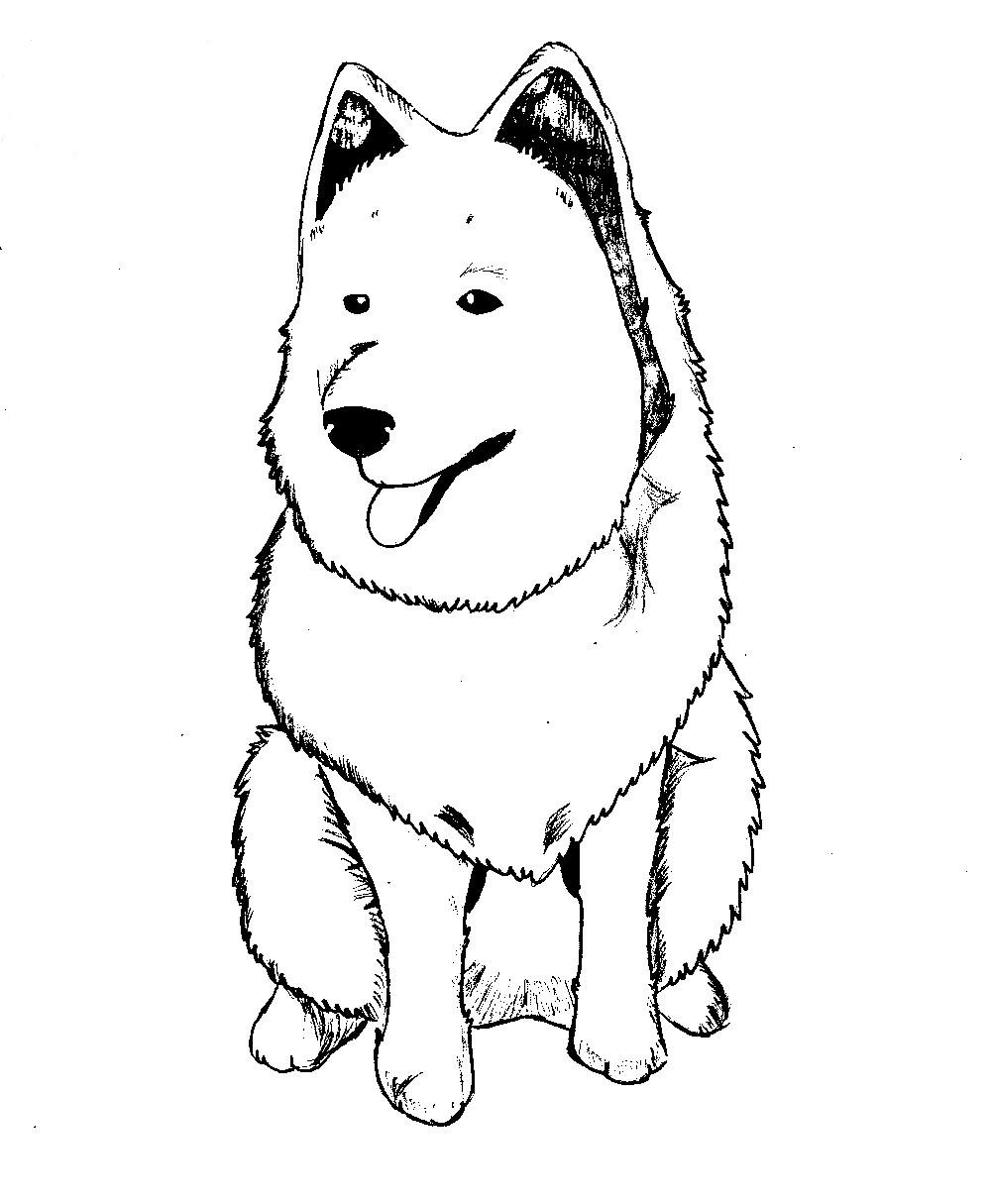 Samoyedo