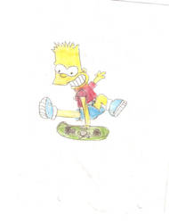 Bart Skating