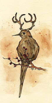 the mysterious deerbird