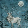 white stag