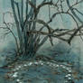 Fairy ring