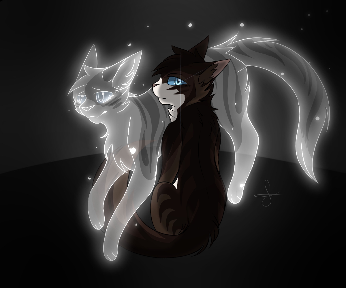 Ivypool And Hawkfrost