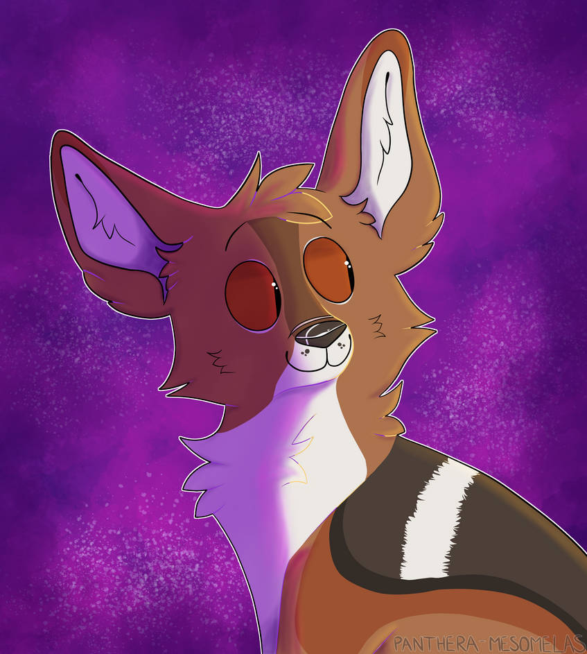 creature_comfort_by_panthera_mesomelas_d