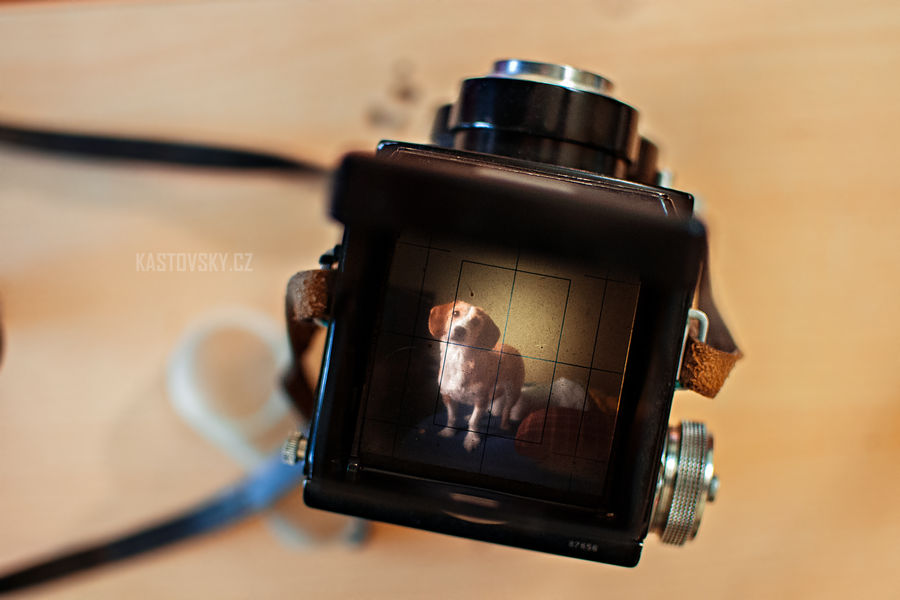Jamie over flexaret V by Zavorka