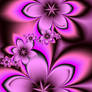 Pink Fractal Flowers