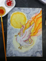 Bird of Fire