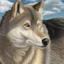 Wolf Realism