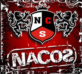 Nacos NCS