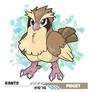 016 - Pidgey