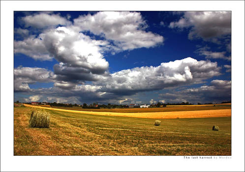 The last harvest