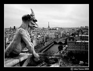 Notre Dame Gargoyle