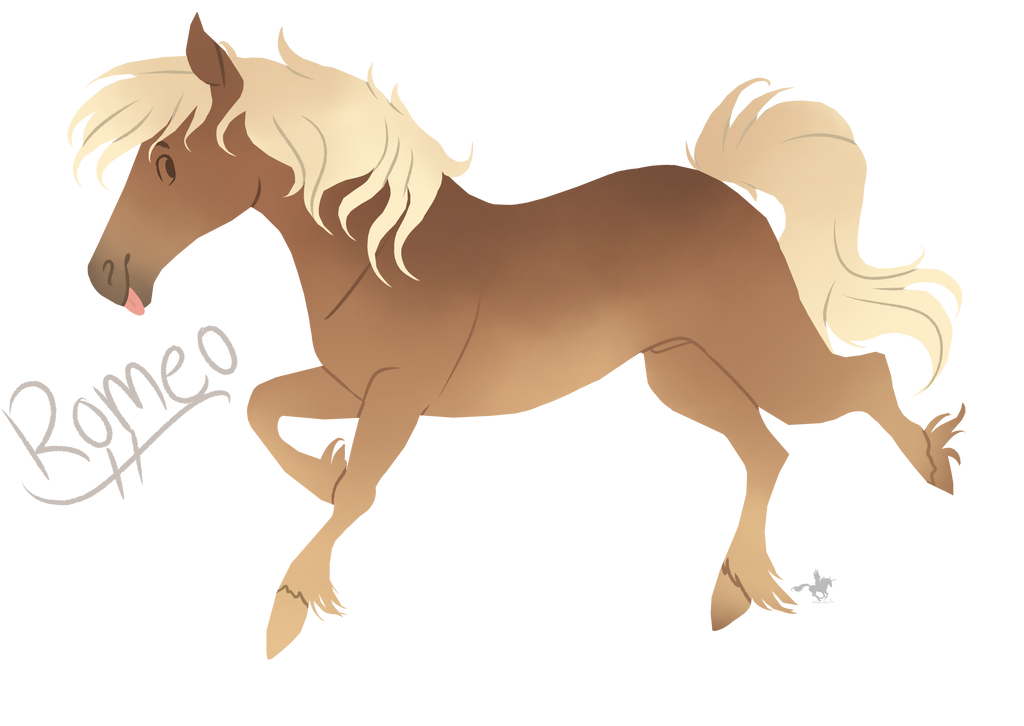 Romeo by MadisonDrawsArt on DeviantArt