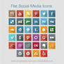 Flat Free Social Media Icons 2013
