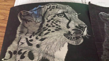 Cheetah Scratch Art