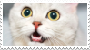 Cat Meowing Stamp by StampMonster