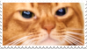 Angry Cat Stamp by StampMonster