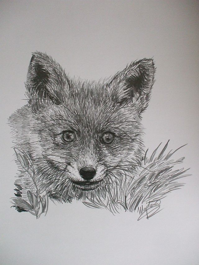 FOX