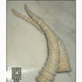 Dracolich Horns in Bone Finish