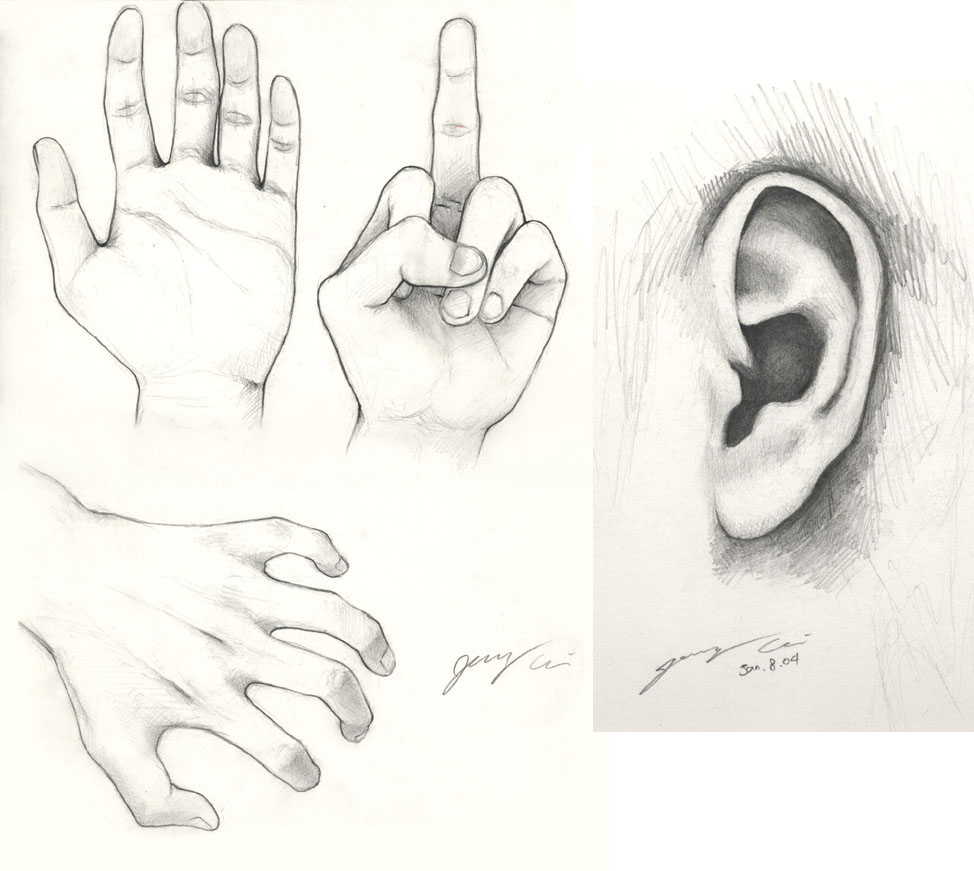 Pencil Sketching - Hands n Ear