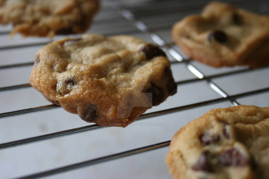 Snow Day Cookies