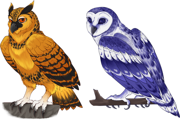 Owl Adopts [CLOSED]