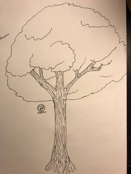 Tree Practice 2