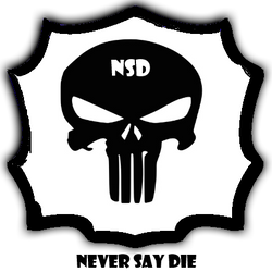 NSD Logo