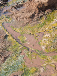 fractal nature, at hot springs