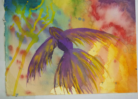 Watercolour bird