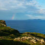 One of my favorite Picture Of NewFoundLand