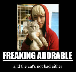 Freaking Adorable - Daehyun