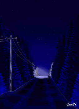 Night road through the winter forest