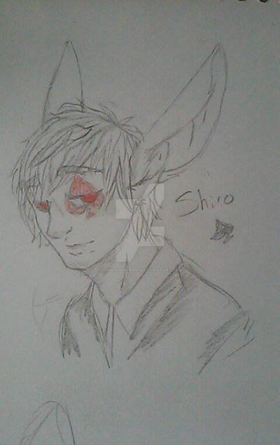 Shiro the White Rabbit by SomeSunnyBunny on DeviantArt