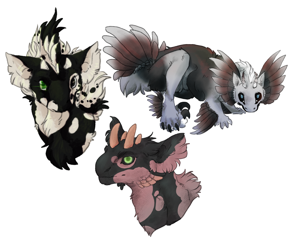 Kuku: Doodles by SomeSunnyBunny on DeviantArt