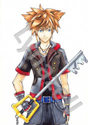 Sora~Kingdom Hearts