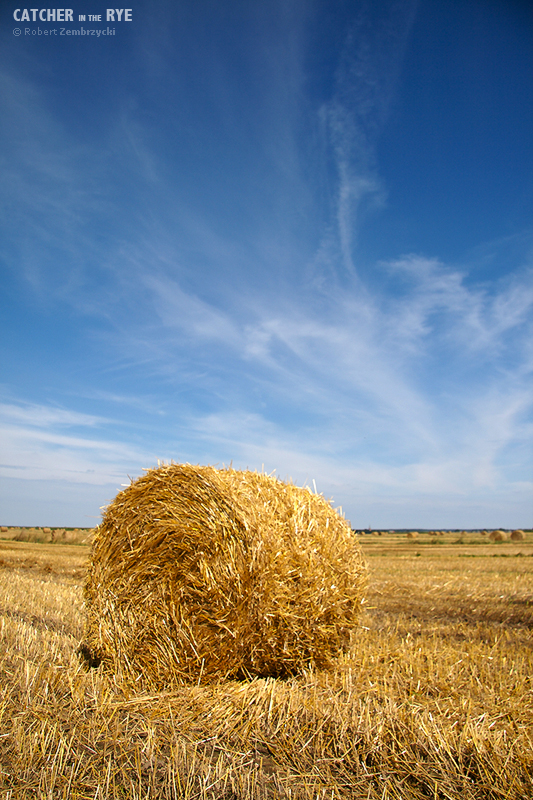 Catcher in the Rye