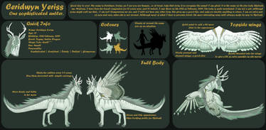 Ceridwyn Yeriss- Character Sheet