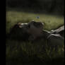The Living Dead I