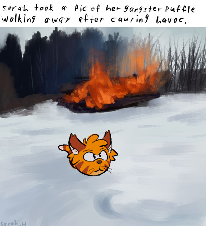 Gangster Puffle by purpleterror91 on DeviantArt