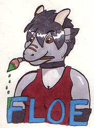Floe Badge
