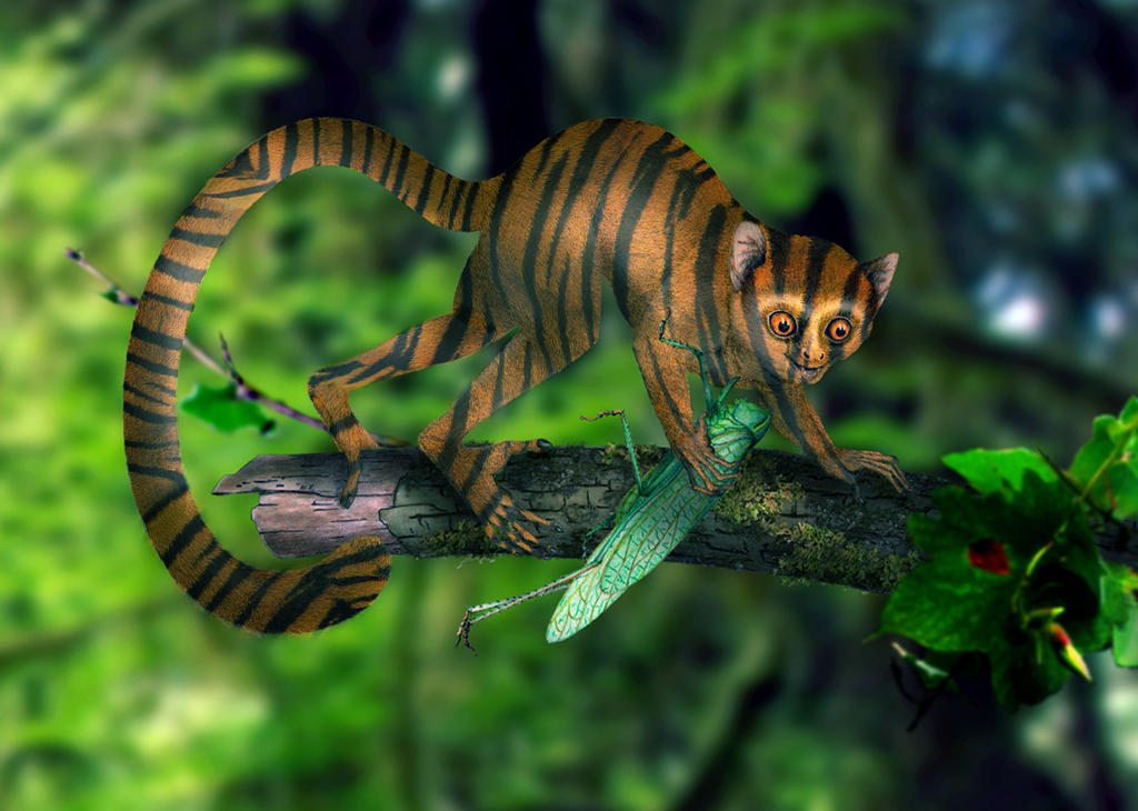 Tiger Monkey Hybrid By Thebinski On Deviantart Tiger Monkey Hybrid By Thebinski On Deviantart