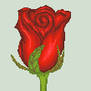 Red Rose