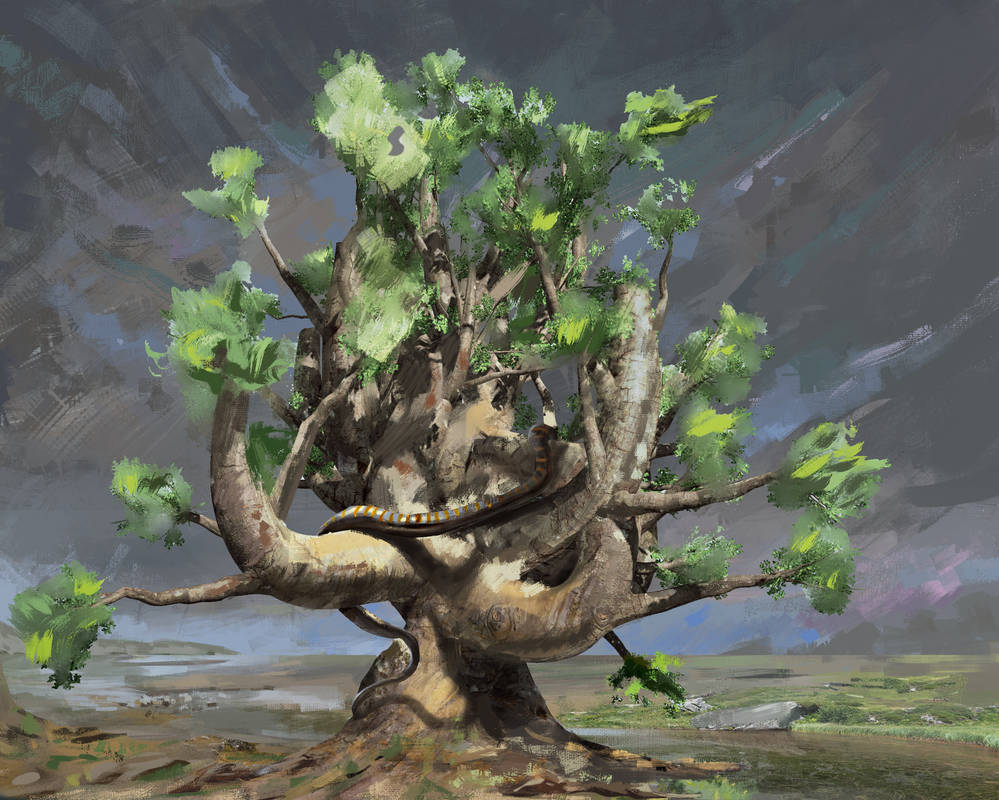A lonely tree. by GeorgeNozZ on DeviantArt