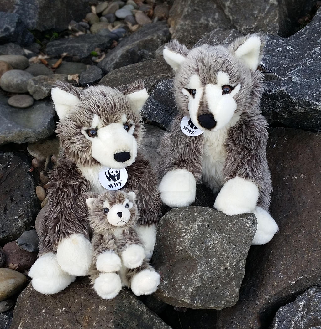 WWF Gray Wolves From Build-A-Bear Workshop by LilMissAleu on DeviantArt
