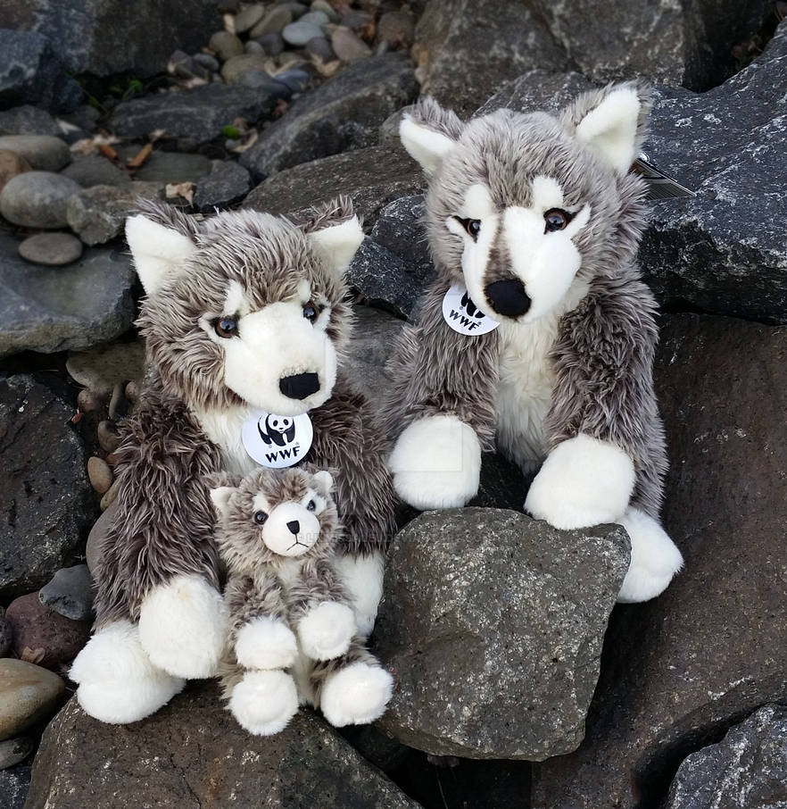 WWF Gray Wolves From BuildABear by LilMissAleu on DeviantArt