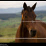 Out Of Focus