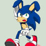 Sonic the bunnyearhog