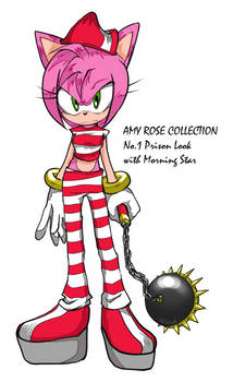 Amy Rose Outfit Collection No1